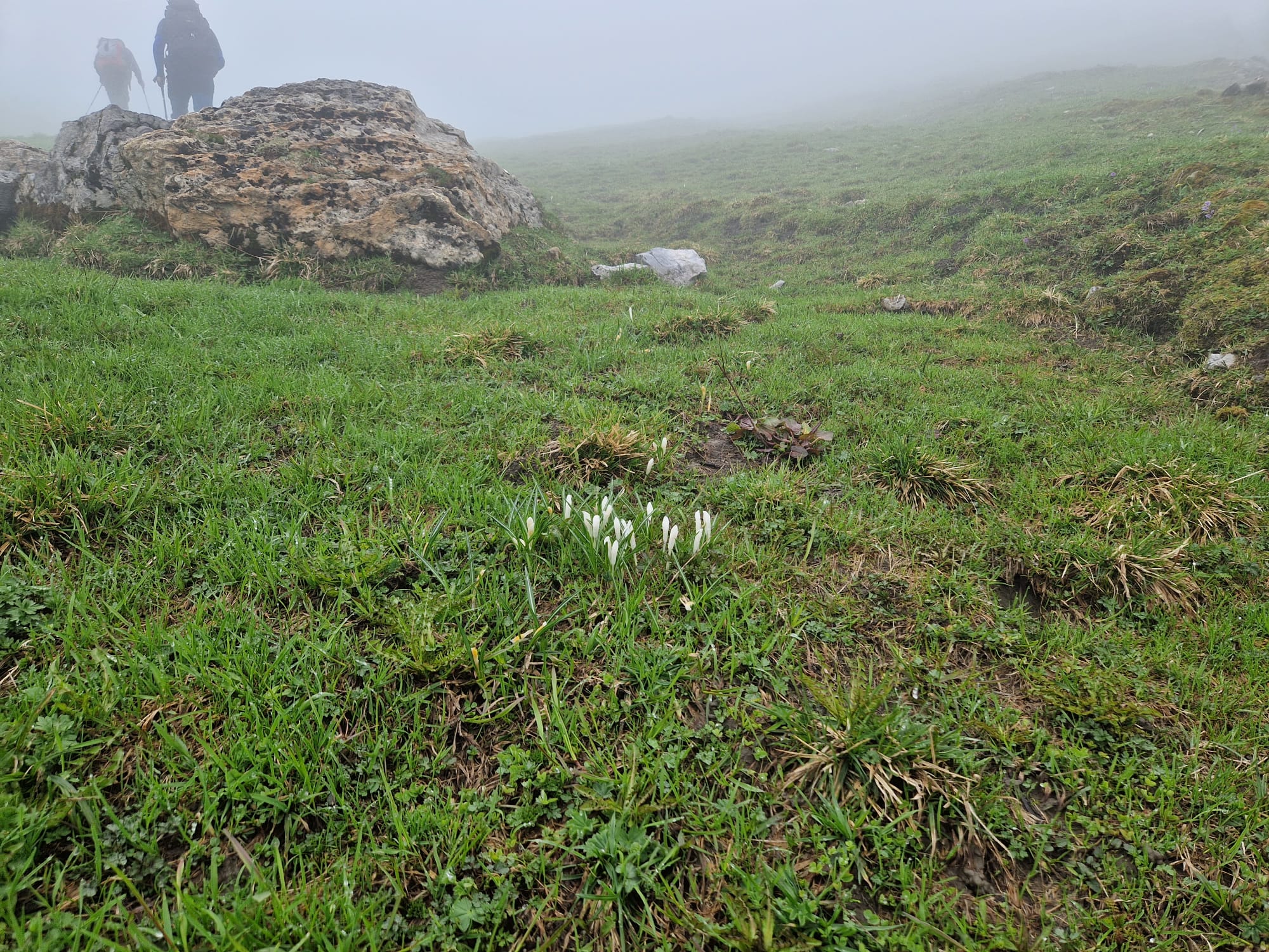 Navigeren en orientatie